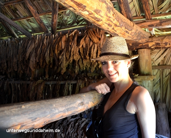 Valle de Vinales - Kuba Reiseberichte von unterwegs & daheim