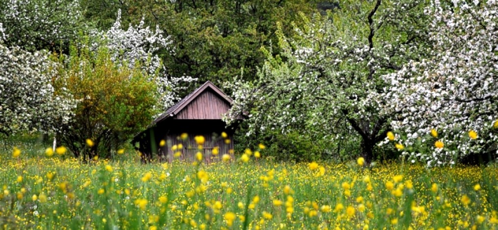 unterwegsunddaheim.de-heimat2