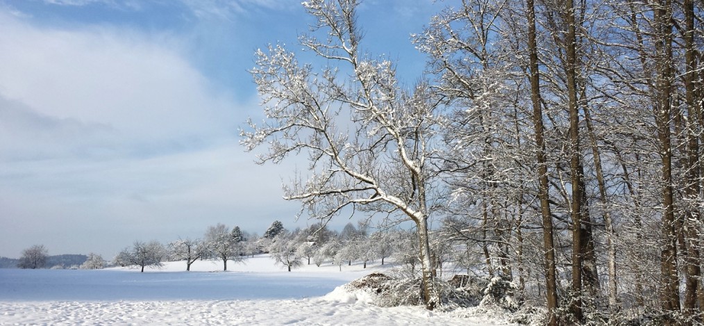 Winter Wunderland daheim