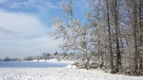 Winter Wunderland daheim