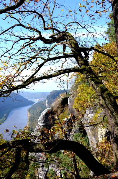 Elbsandsteingebirge in der Sächsischen Schweiz - Bastei