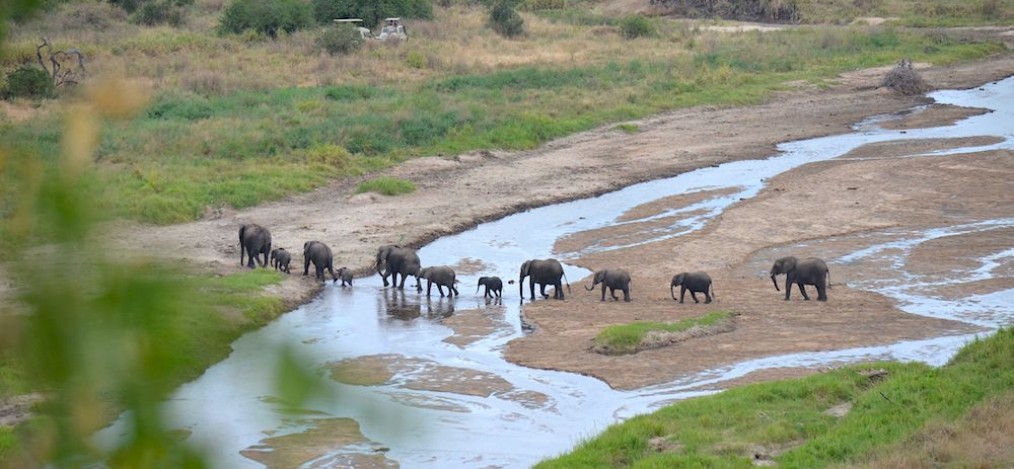 Safari im Tarangire Nationalpark in Tansania