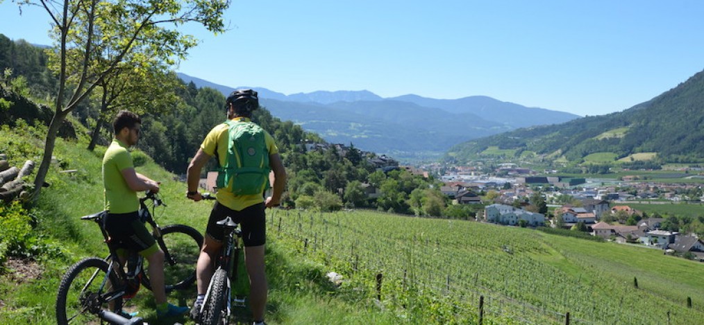 E-Mountainbiketour durch die Weinberge Südtirols
