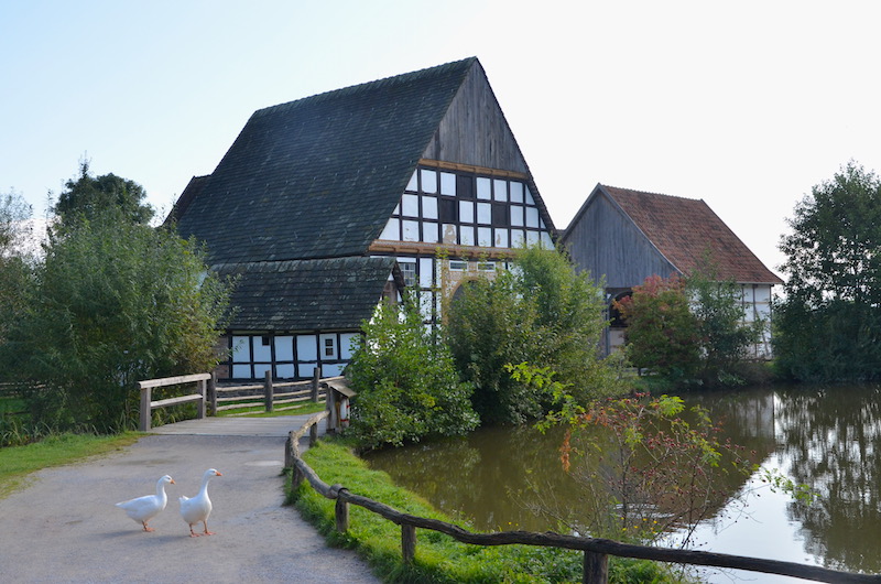 Freilichtmuseum Detmold