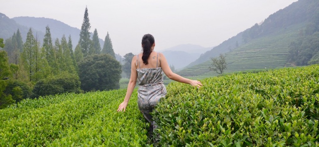 China - Hangzhou Teeplantage