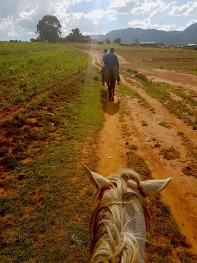 Ponytrekking in Lesotho