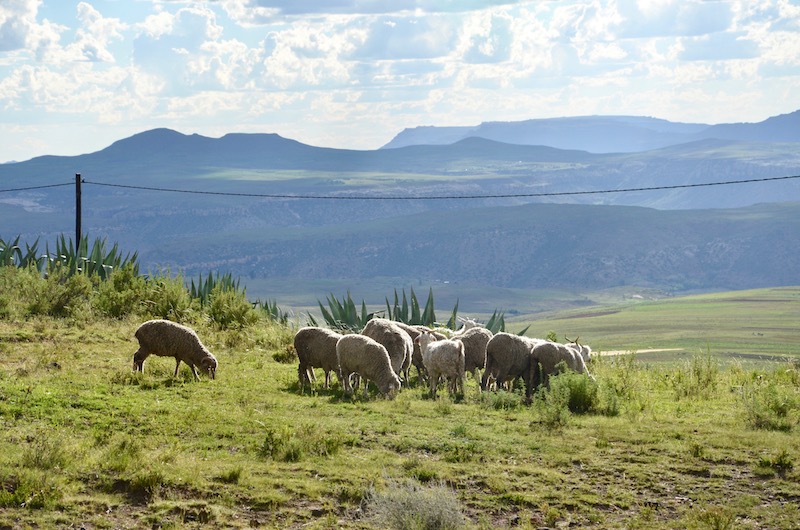 Lesotho - ein Königreich im Himmel