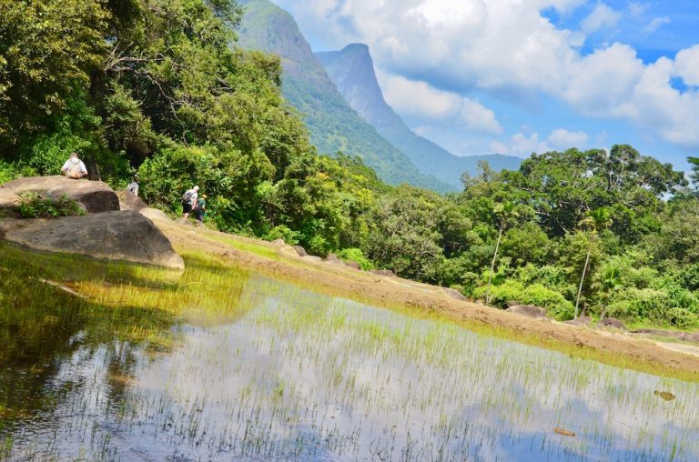 Sri Lanka Reiseroute 2 Wochen Sri Lanka Highlights