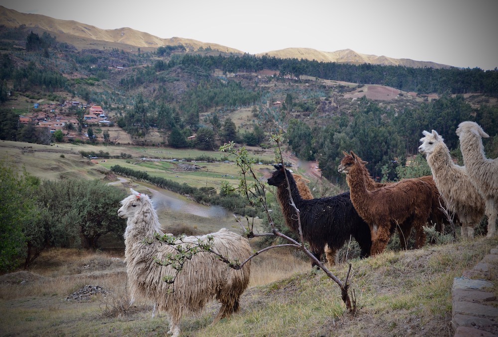 Cusco Sehenswürdigkeiten