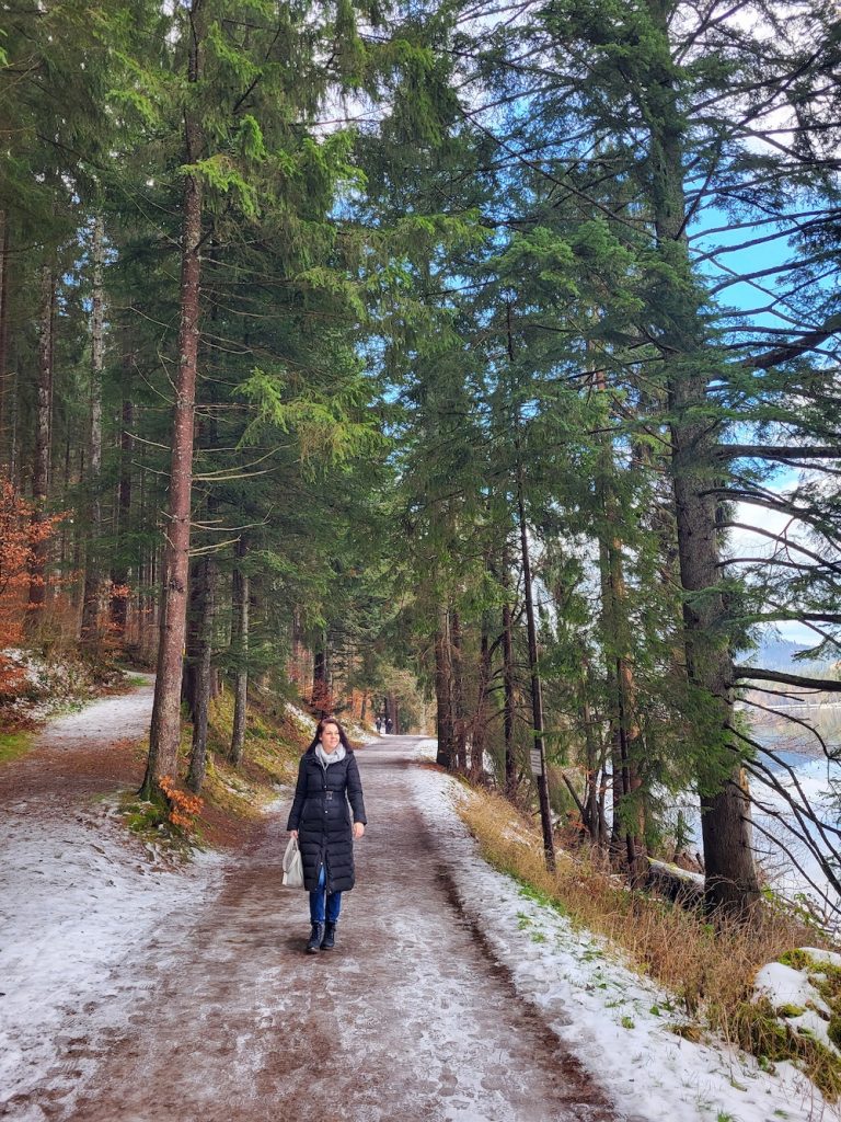 Schwarzwald winterwandern