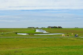 Hallig