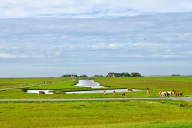 Hallig Hooge