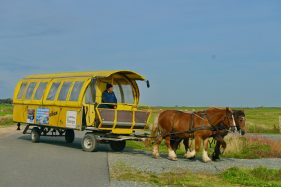 Nordfriesland