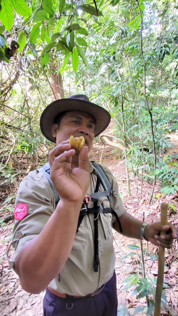 Eco Lodge Bukit Lawang Sumatra