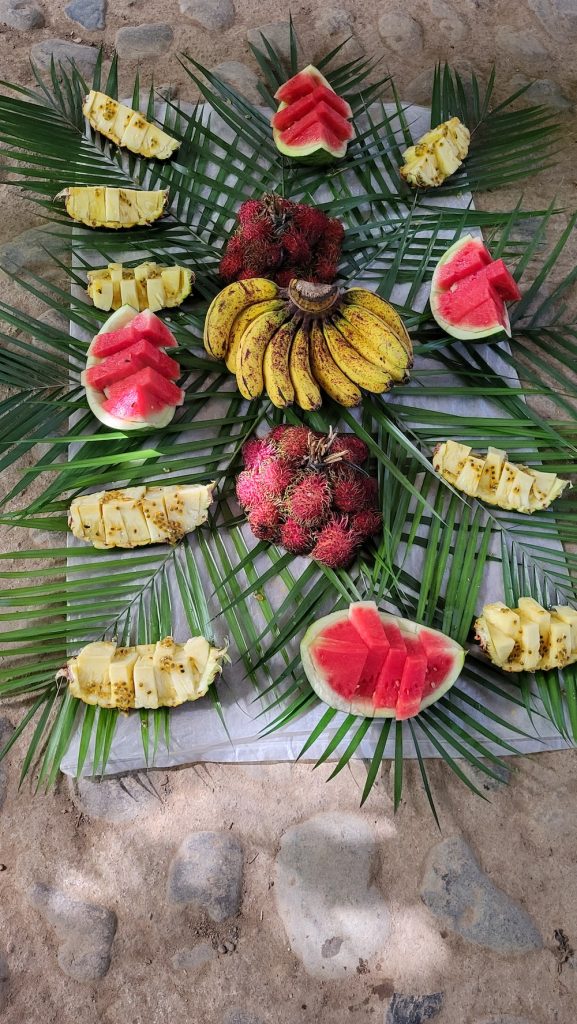 Dschungeltrekking Sumatra