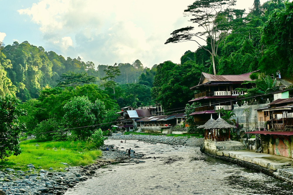 Bukit Lawang Sumatra