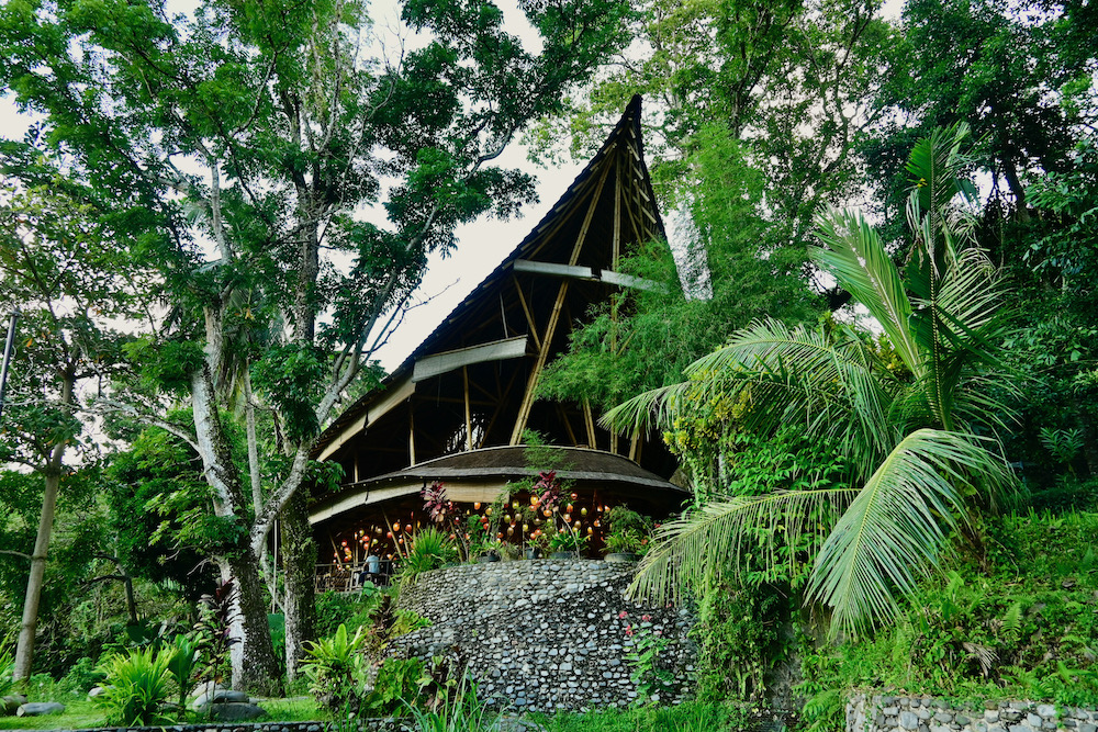 Eco Lodge Bukit Lawang Sumatra